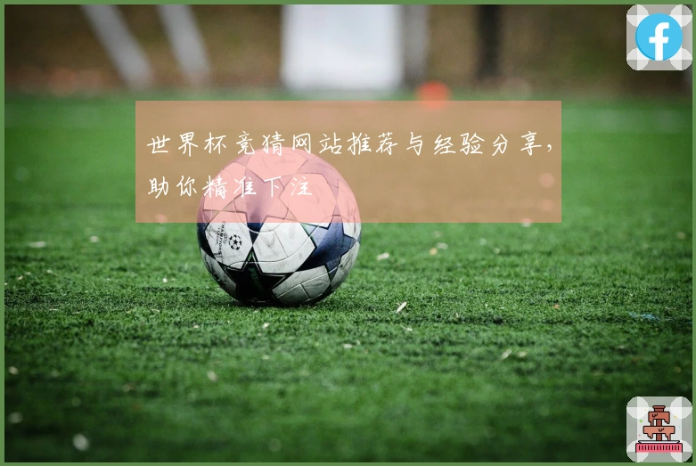 世界杯竞猜网站推荐与经验分享，助你精准下注