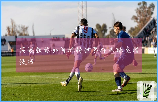 实战教你如何玩转世界杯买球竞猜技巧