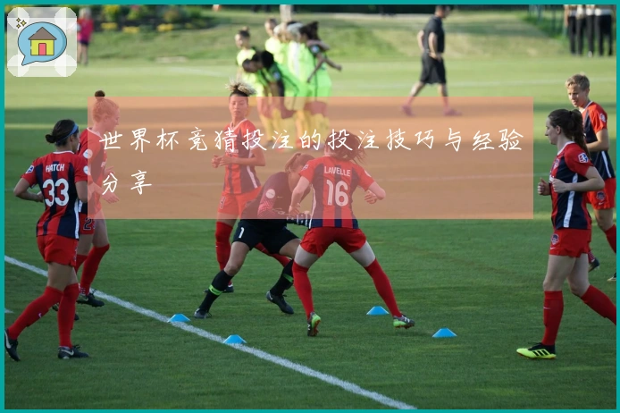世界杯竞猜投注的投注技巧与经验分享