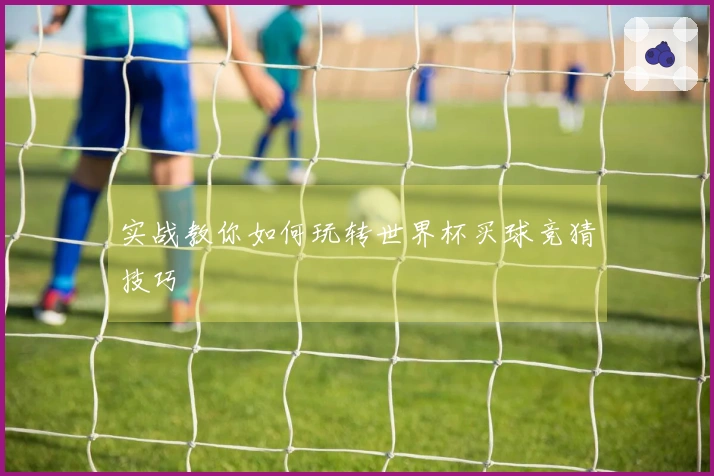实战教你如何玩转世界杯买球竞猜技巧
