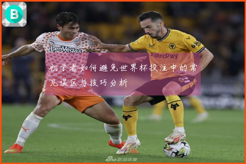 初学者如何避免世界杯投注中的常见误区与技巧分析