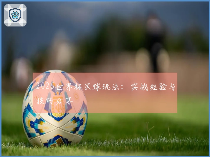2026世界杯买球玩法：实战经验与技巧分享