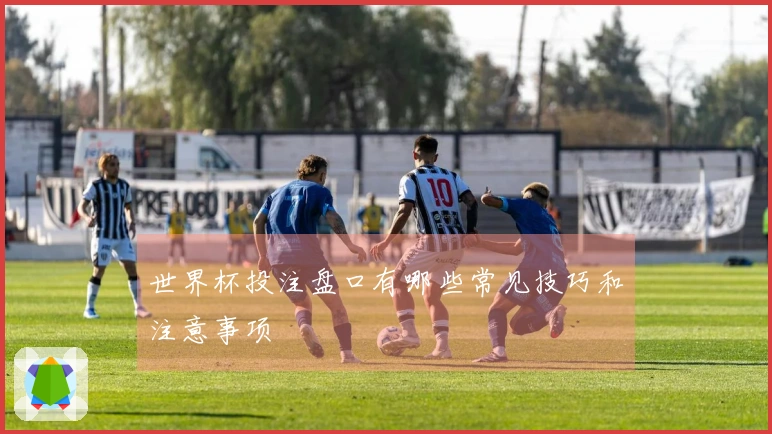 世界杯投注盘口有哪些常见技巧和注意事项