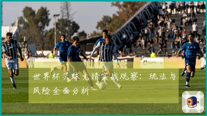 世界杯买球竞猜实战观察：玩法与风险全面分析