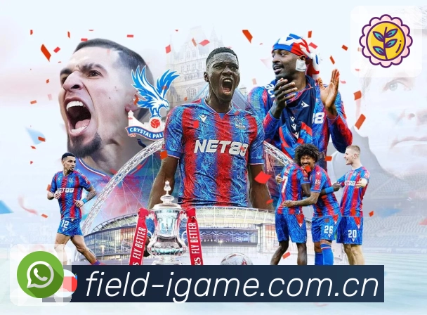 <strong>爱游戏</strong>行为安全识别